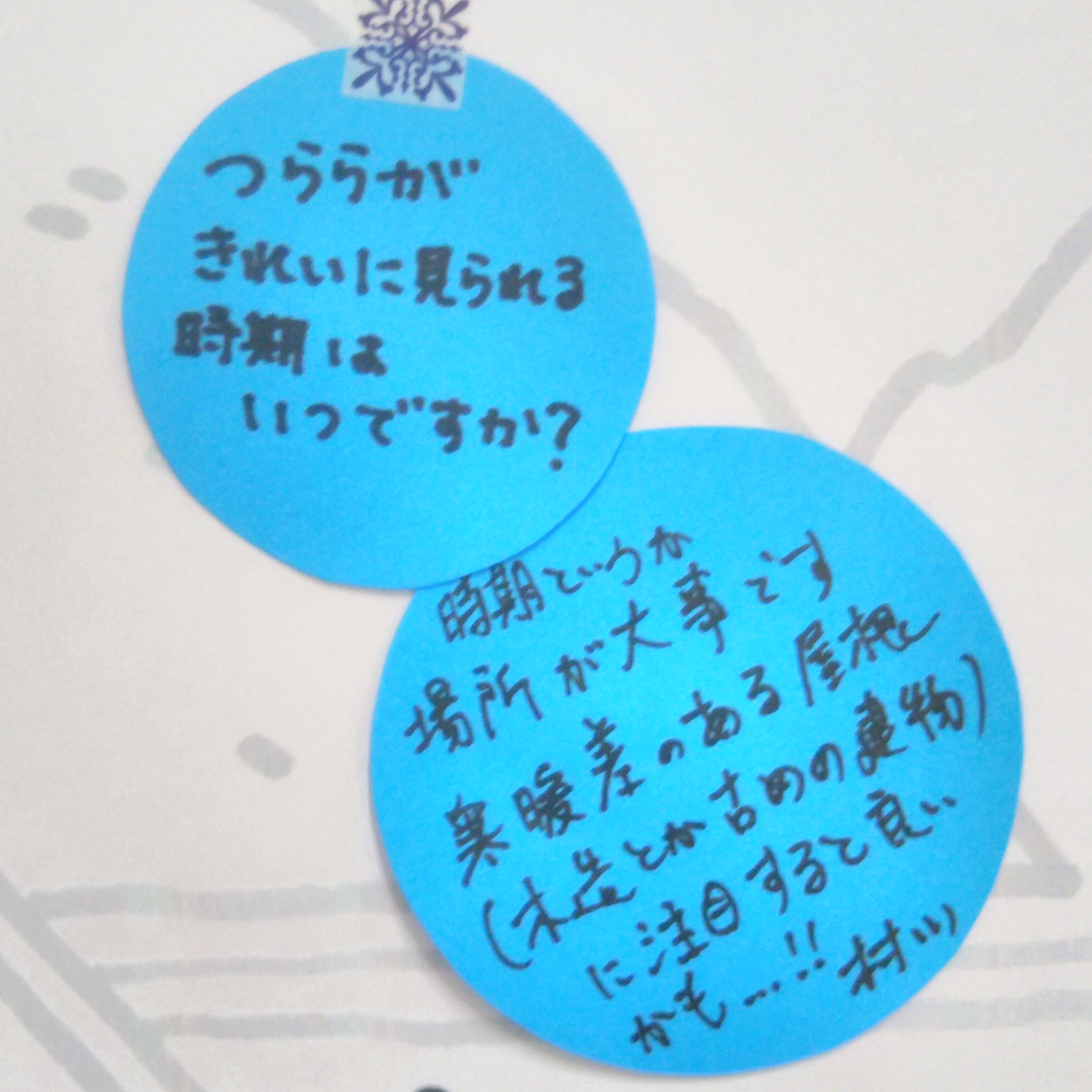 IMG_20191011_153545~2